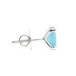 Load image into Gallery viewer, Manini | Square Shaped Silver Earrings