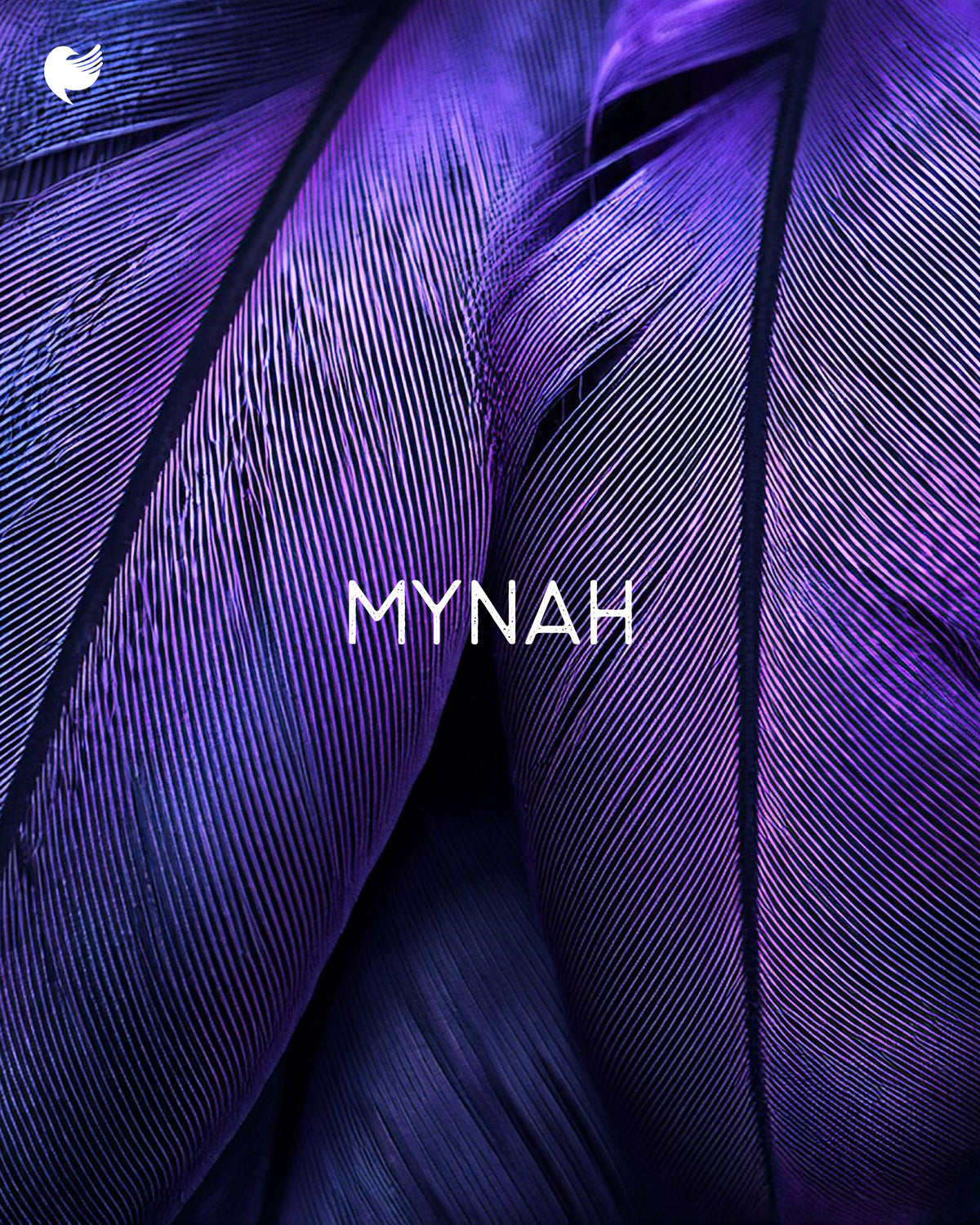Mynah_1