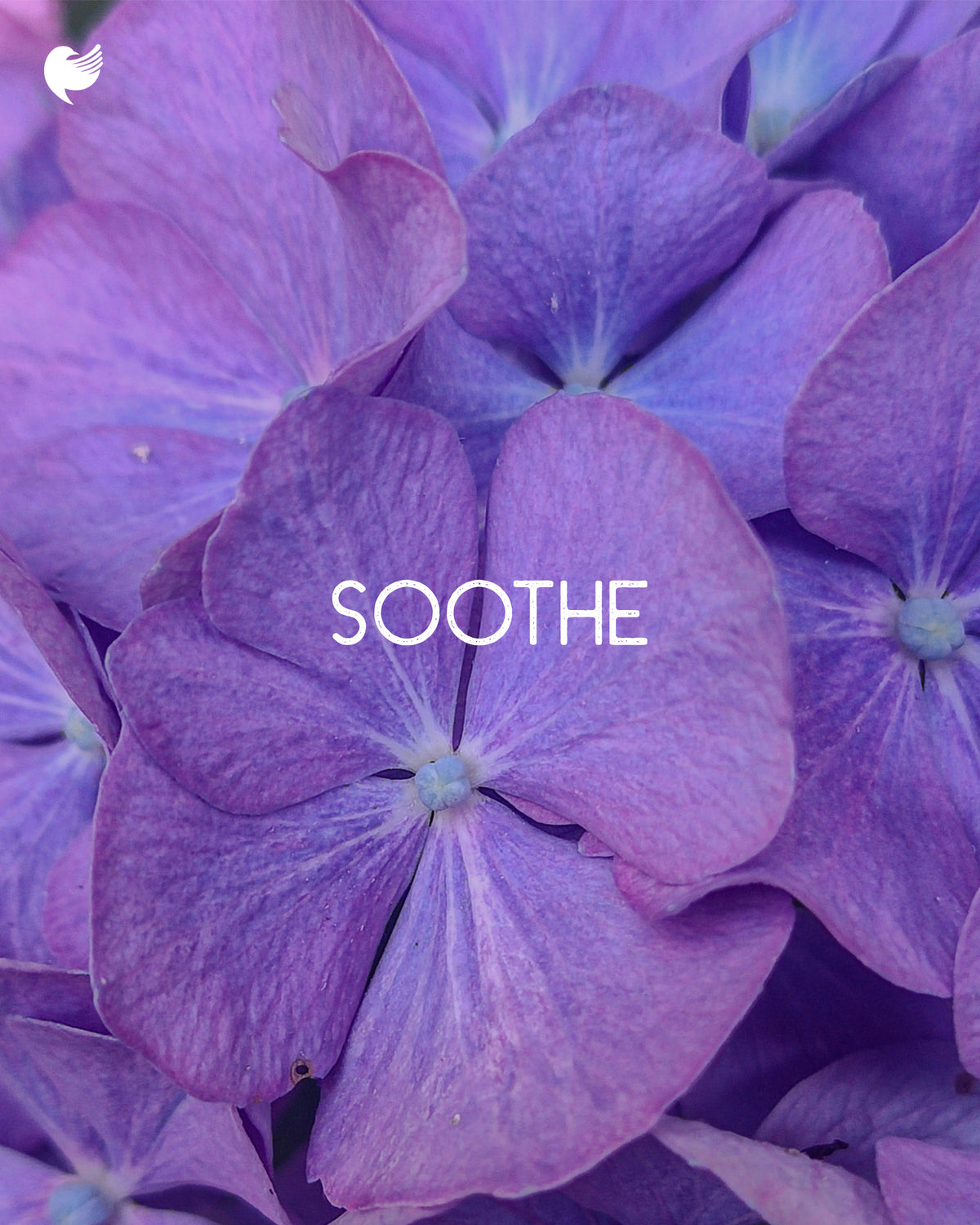 Soothe